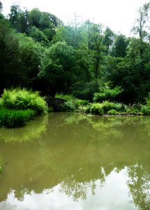 Goram lake